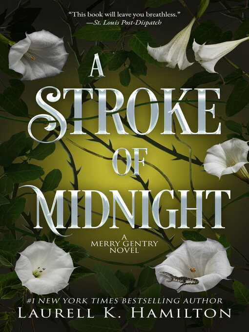 Cover image for A Stroke of Midnight
